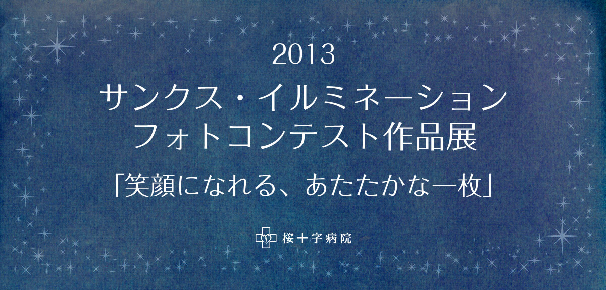 2013サンクス・イルミネーションコンテスト作品展