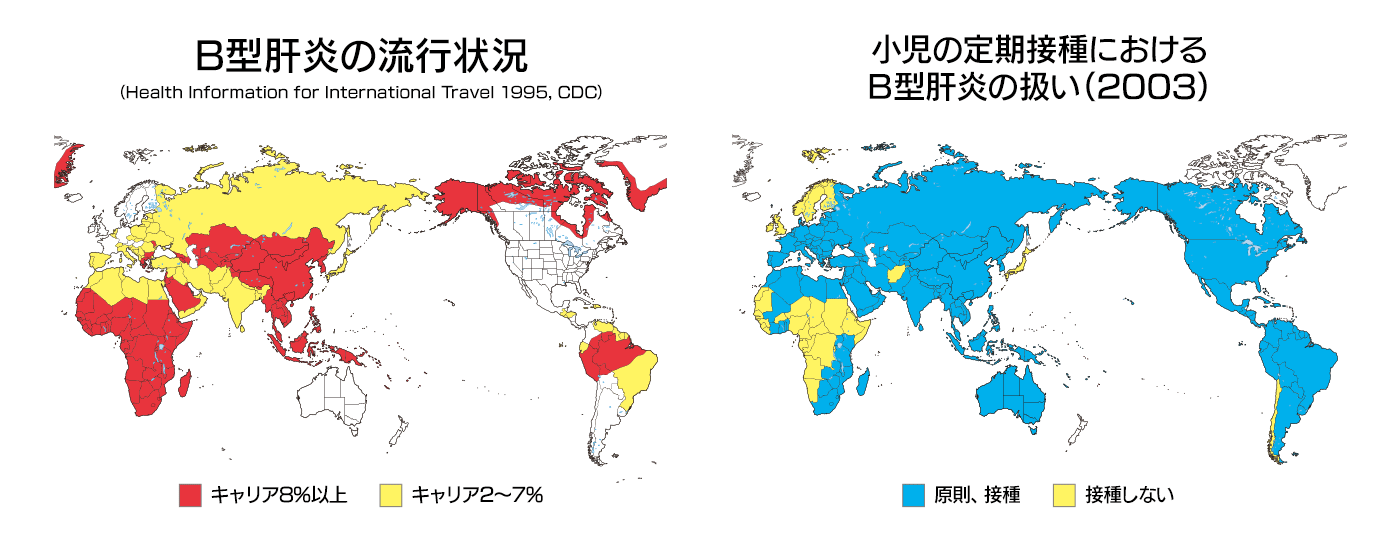 B型肝炎図版