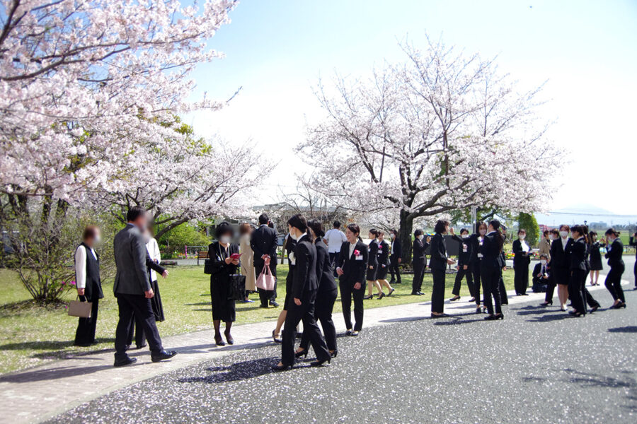 桜の花を楽しみました